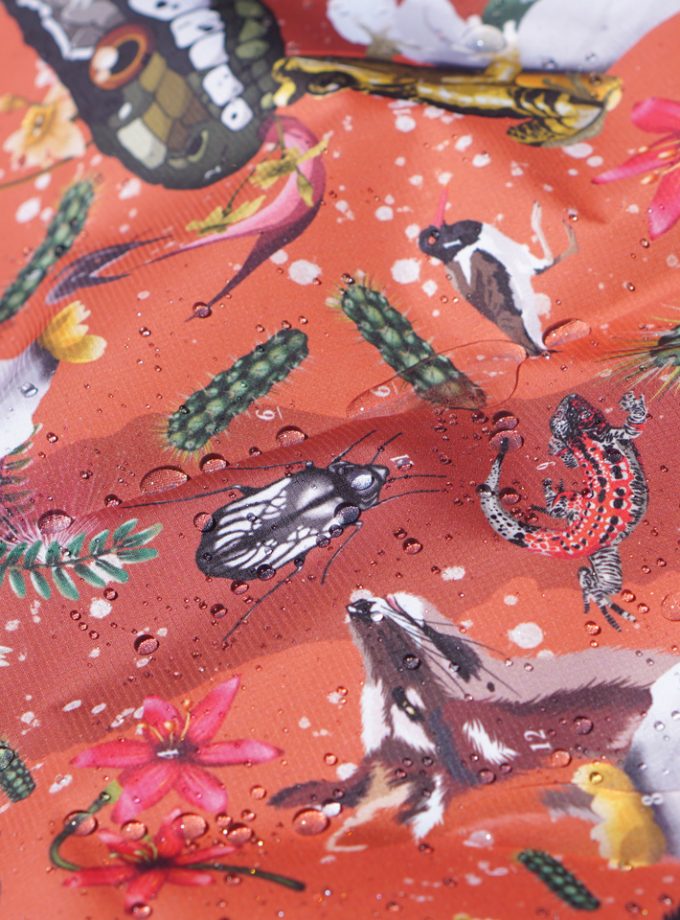 Chaqueta térmica Desierto de Atacama