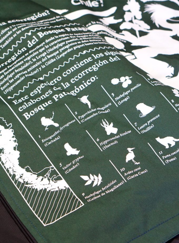 Chaqueta térmica Bosque Patagónico