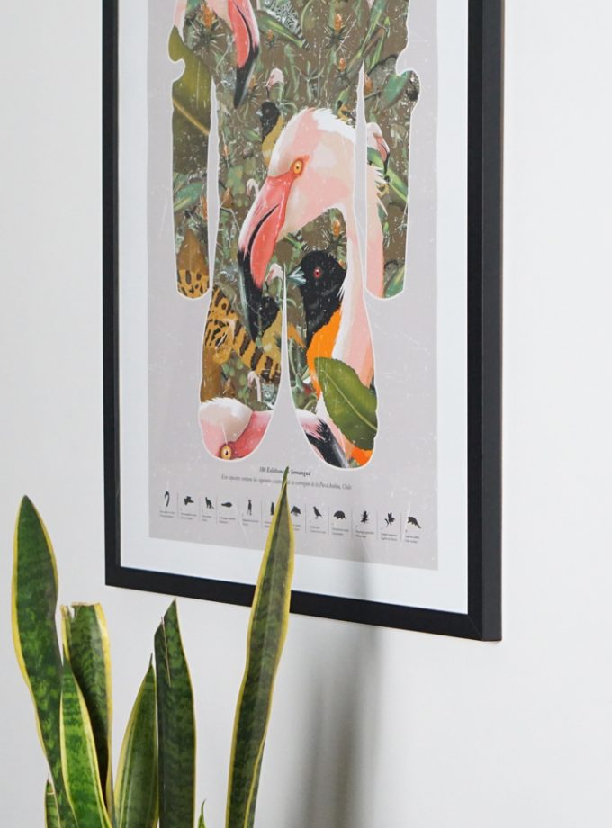 Poster espalda Puna Andina / En papel o enmarcado / 50x70cm