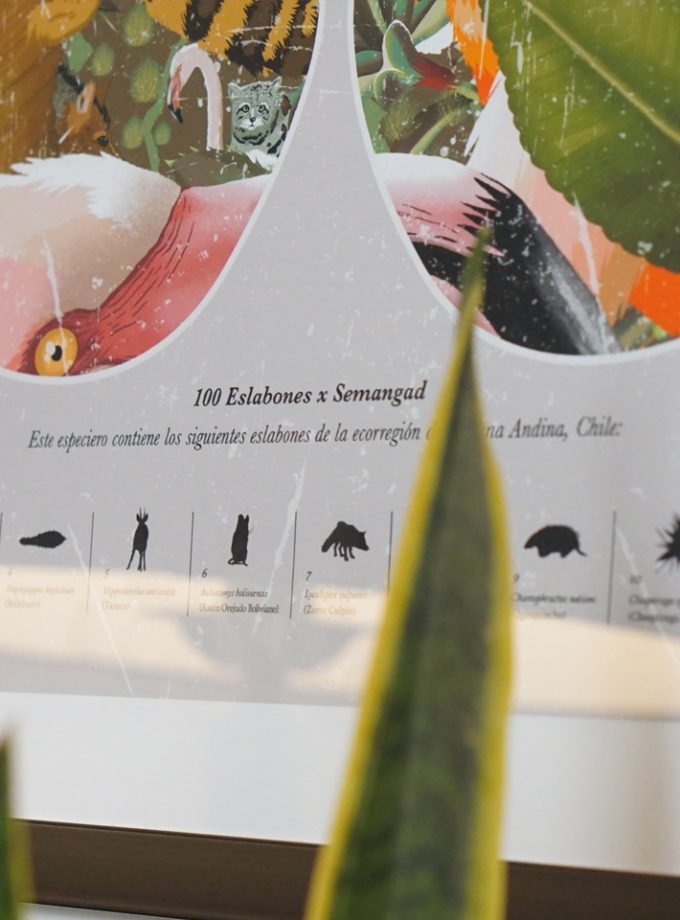 Poster espalda Puna Andina / En papel o enmarcado / 50x70cm