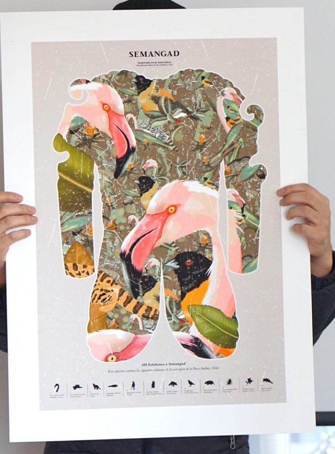 Poster espalda Puna Andina / En papel o enmarcado / 50x70cm