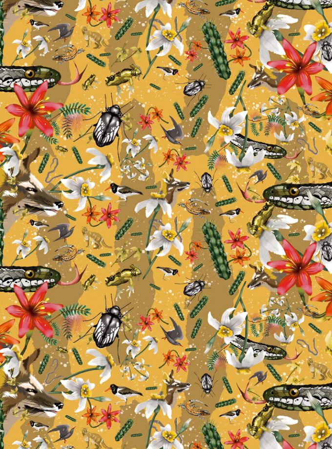 Kit (banano + cortaviento) Desierto de Atacama