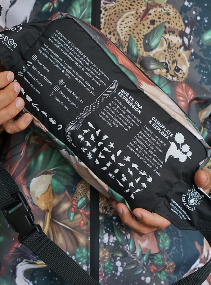 Kit (banano + cortaviento) Bosque Patagónico