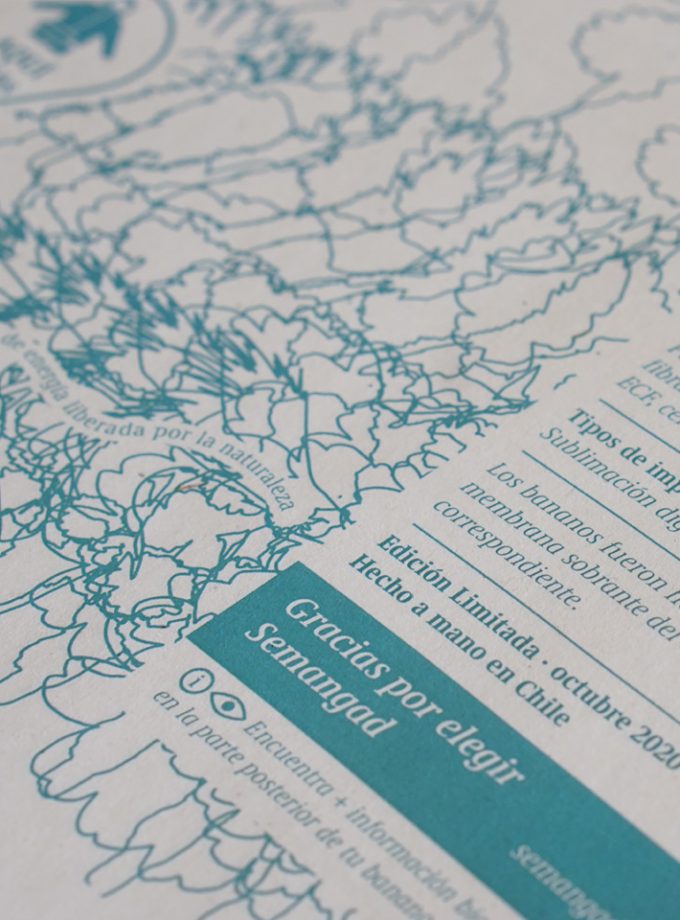 Kit (banano + cortaviento) Bosque Patagónico