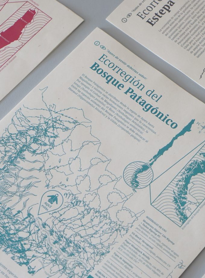 Kit (banano + cortaviento) Bosque Patagónico