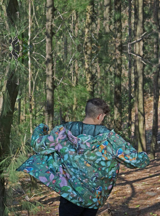 Kit (banano + cortaviento) Bosque Valdiviano