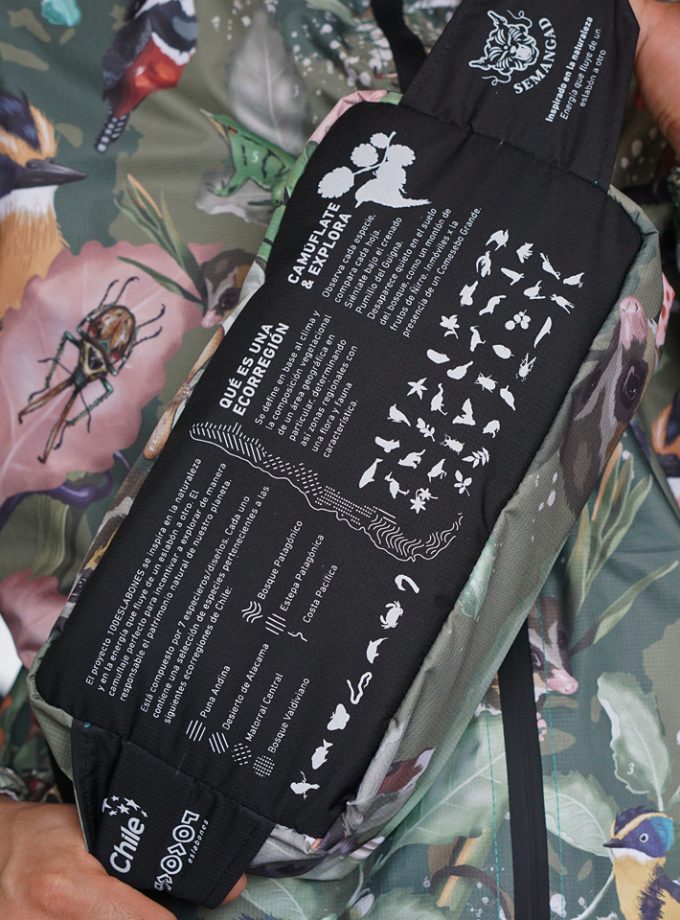 Kit (banano + cortaviento) Bosque Valdiviano