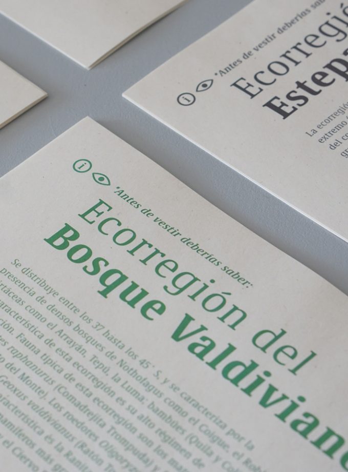 Kit (banano + cortaviento) Bosque Valdiviano