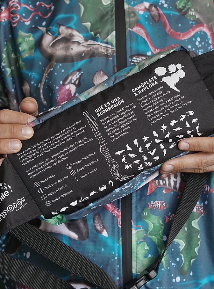 Kit (banano + cortaviento) Costa Pacífica