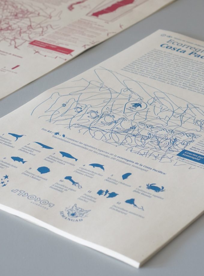 Kit (banano + cortaviento) Costa Pacífica