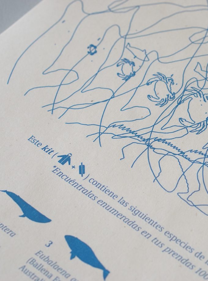 Kit (banano + cortaviento) Costa Pacífica