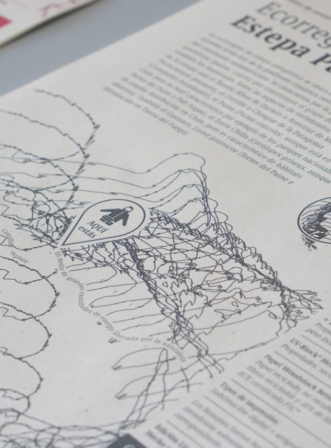 Kit (banano + cortaviento) Estepa Patagónica