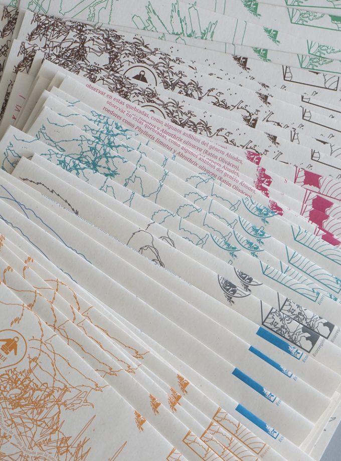 Kit (banano + cortaviento) Desierto de Atacama