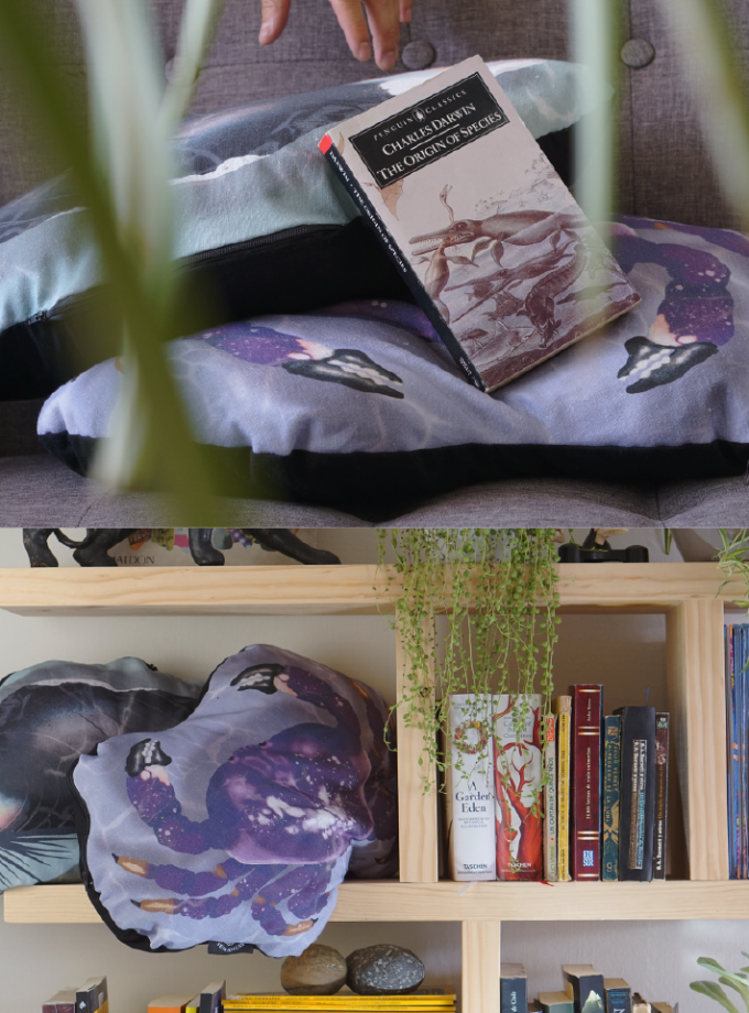 Cojínes Costa Pacífica / Mejillón + Jaiba morada