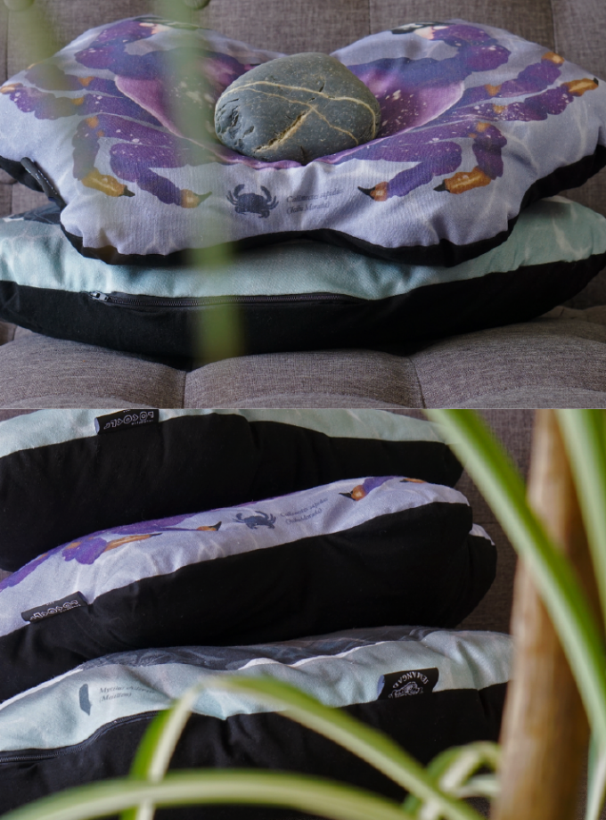 Cojínes Costa Pacífica / Mejillón + Jaiba morada