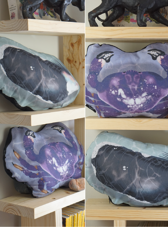 Cojínes Costa Pacífica / Mejillón + Jaiba morada